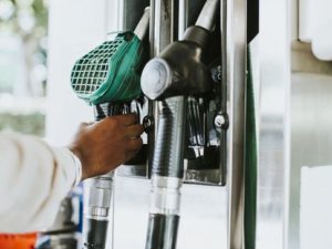 Biocombustibles en el transporte, oportunidad de país
